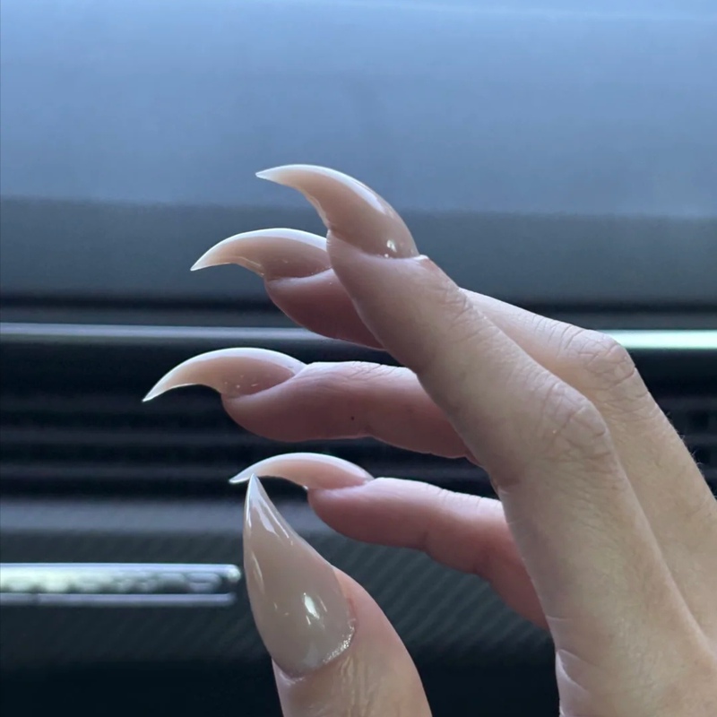 Rc Handmade Finished Nail Art Press-On Nails Short Dragon Claw Nails Animal Nails Cat Claw Apricot Nude Color