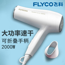 Flying Co Hair Dryer Domestic High Power Dorm Room With Cold Hot Air Male And Female Hair Care Net Red Electric Blow Air Duct Cold Hot Air