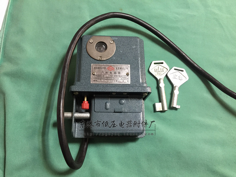 Shengao Outdoor Electromagnetic Lock Shenyang High Voltage Switch Factory Stainless Steel Switch Lock Dsw1(Th) Outdoor Lock