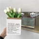 8 белых костюмов для бумажного пакета Tulip