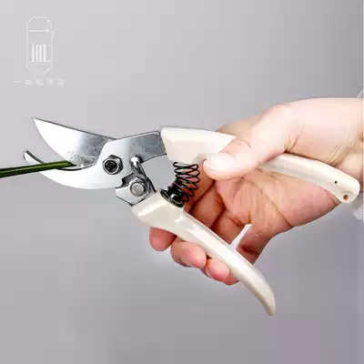 A dish of Alice Japanese flower scissors ARS130DX flower arrangement floral scissors jingle scissors teaching tools
