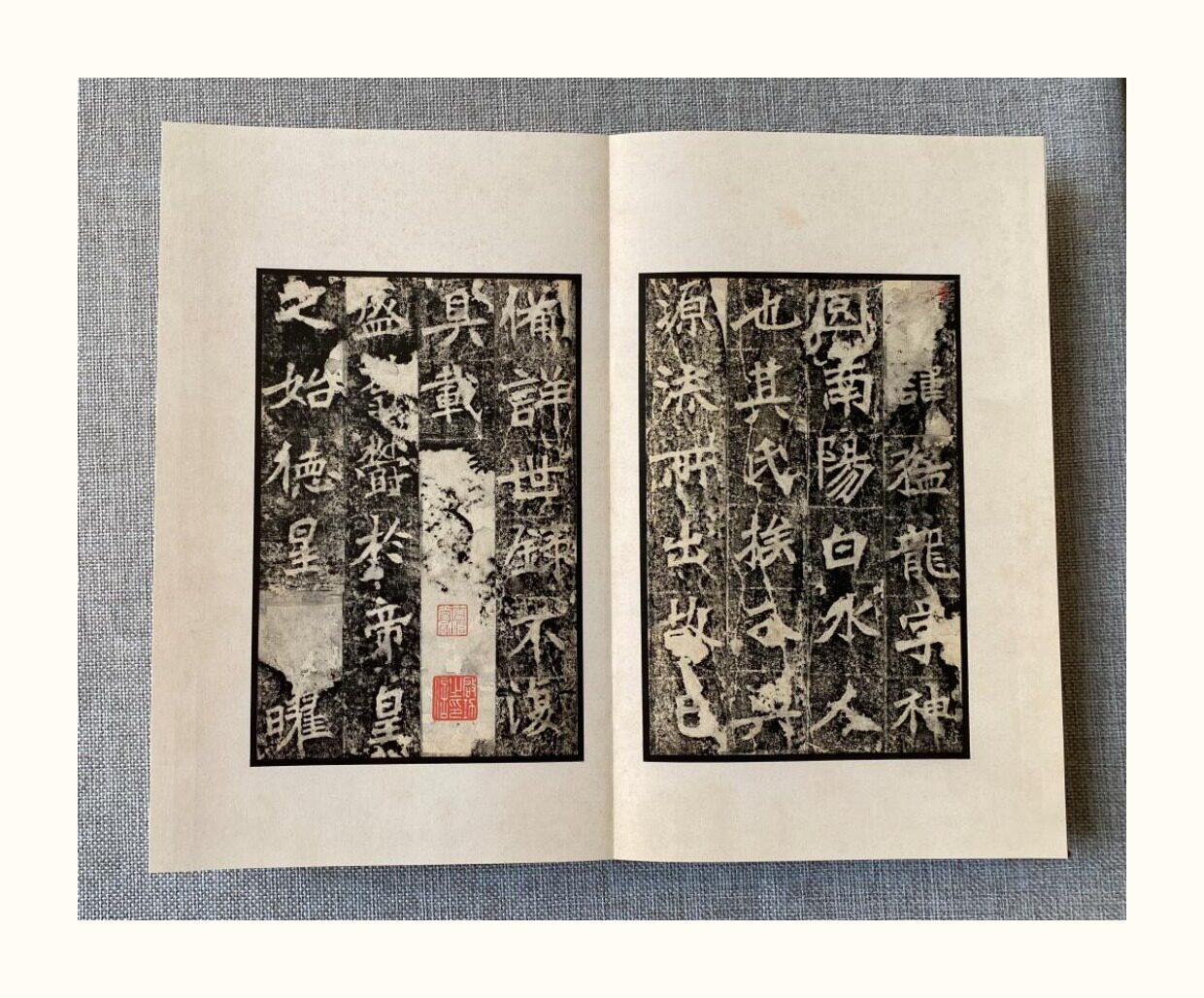Каллиграфия, печать резки (новый) 明拓张猛龙碑 启功旧藏明末蝉翼精拓本 文物出版社