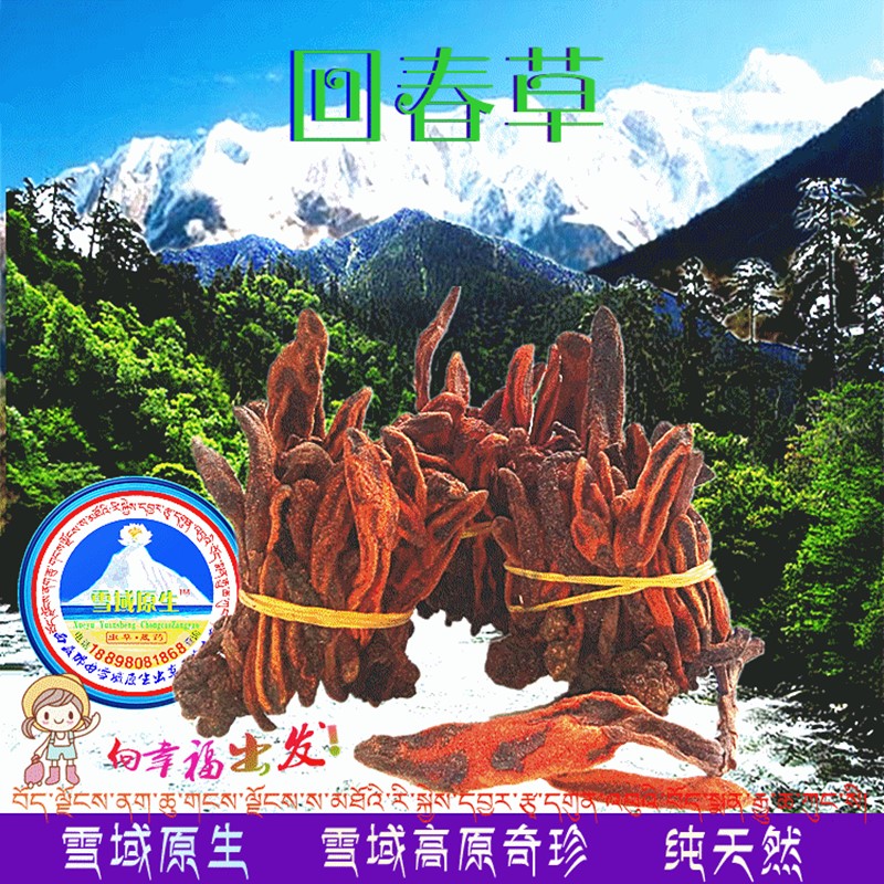 Rejuvenating grass Tibet wild 50 grams Buy 2 get 1 free kidney essence grass Agao grass men and women brew wine and tea buy 3 rounds of 5