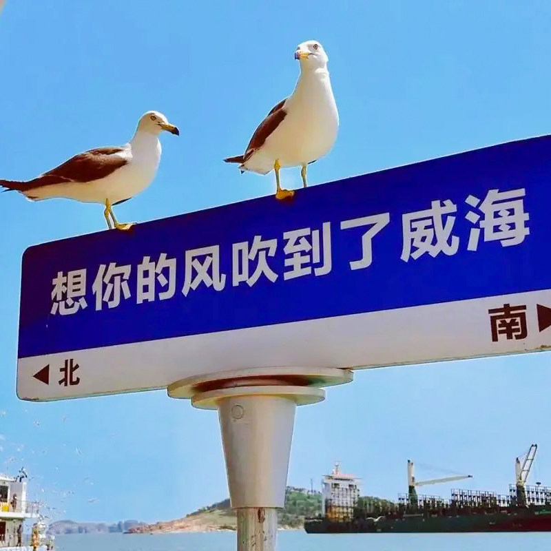 铭昂海藻 源头供应链的LOGO