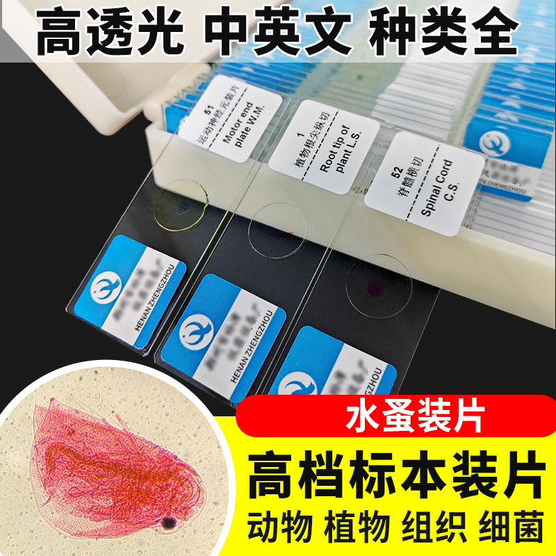 水蚤装片切片生物切片涂片小学初中高中生物科学实验切片显微镜观察玻片装片