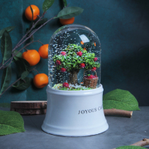 jing tian exciting Apple crystal ball ornaments Music Box Music Box couple girls married birthday gift