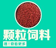 Неизвестно -1_05.png