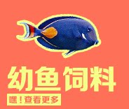 Неизвестно -1_01.png