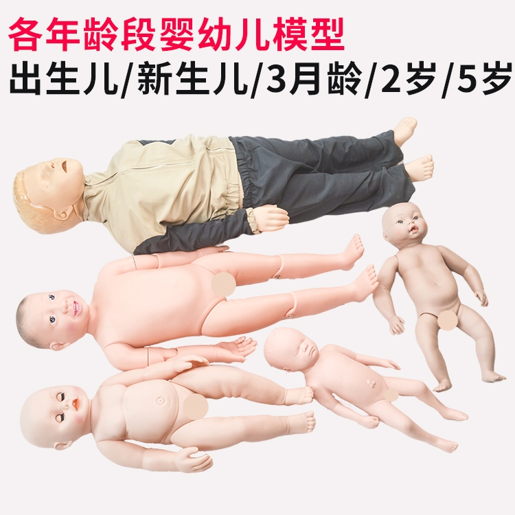 Infant and Toddler Models of Various Ages, Simulated Dolls, Newborns, 3 Months Old/2 Years Old/5 Years Old, Simulated Rubber People Infant and Toddler Models of Various Ages, Simulated Dolls, Newborns, 3 Months Old/2 Years Old/5 Years Old, Simulated Rubber People
