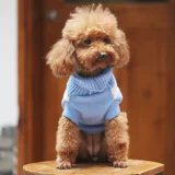 Одежда для щенков осенью и зимой Тедди Белки Корки Медвежь