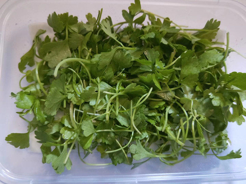 Fresh three-leaf fragrant three-leaf cress pendulum disc decorated with 20g boxes-Taobao