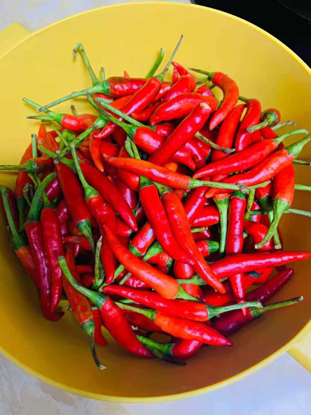 Fresh millet pepper Sichuan millet pepper 250g Beijing-Tianjin-Hebei 68 SF