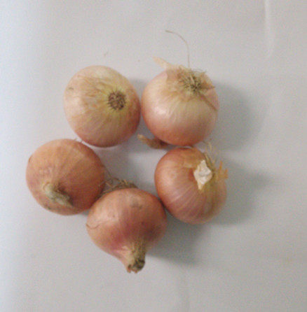 Fresh onion with leather onion 500g Beijing Tianjin Hebei Funfeng 68 Shunfeng