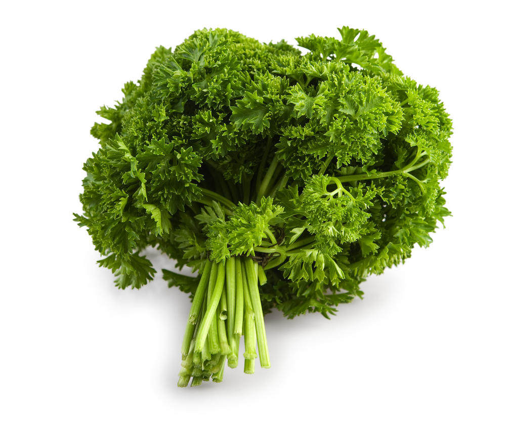 Fresh Vegetables Fresh French Parsley Western Food Decoration 250g
