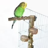 Попугающий перец