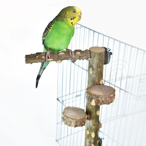 Попугающий перец