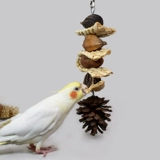 Xuanfeng Monk Попугай-Игрушка для откусывания Чистые натуральные сухофрукты Кость каракатицы Кукурузная шелуха Веревка Зеленая безопасная и здоровая игрушка для шлифования рта