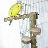 Попугающий перец