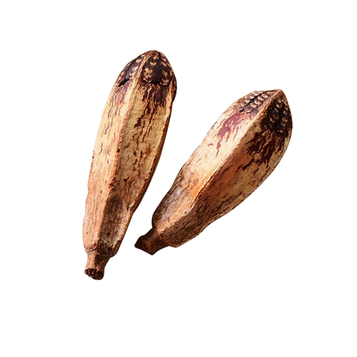 Кафе желе сухой, он приказал попугаю укусить игрушечные фрукты и кусочки фруктов DIY птицы, чтобы найти пищевые материалы