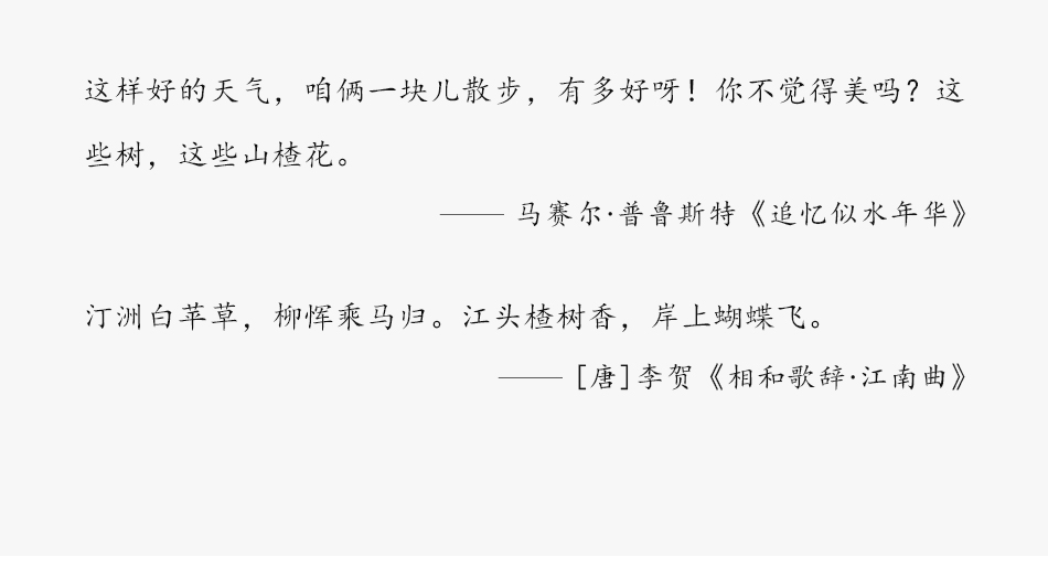 南食召 【基本山楂露】氮氣果飲 清爽鮮果汁飲料氣泡水 310毫升裝
