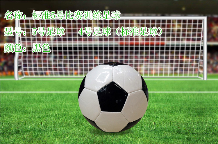 Ballon de football - Ref 5530 Image 4