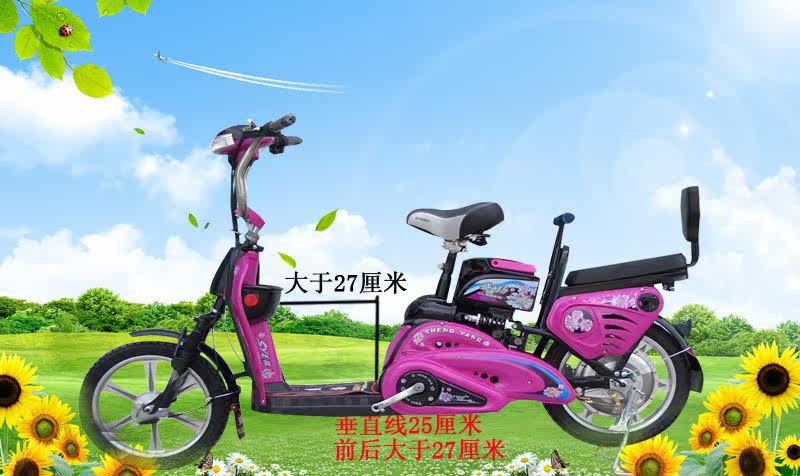 siège enfants pour vélo - Ref 2417999 Image 36