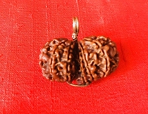 High Lysanka Bodhi (High Lisanka is a Bodhi that is able to balance your left and right veins