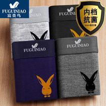 Underwear mens cotton 100% cotton antibacterial personality trend boxer mens underwear rich bird 2022 new