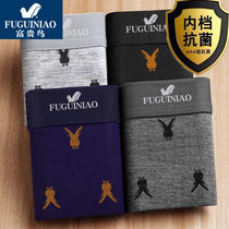Underwear mens cotton antibacterial boxer mens underwear new underwear mens rich bird underwear antibacterial boxer