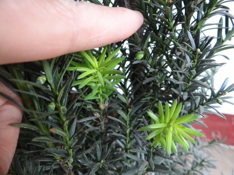 �̴�����hdsdai guo