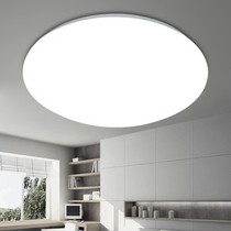 Ultra-thin round led ceiling lamp balcony bedroom living room lamp simple modern 12W18W24W energy saving lampshade White Light