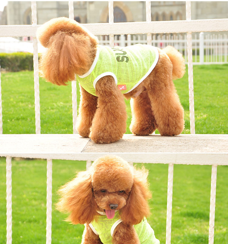 Quần áo chó Teddy quần áo thú cưng mùa xuân mùa hè hơn gấu trúc con chó con chó con quần áo thú cưng mùa xuân và mùa hè vest - Quần áo & phụ kiện thú cưng áo chó con