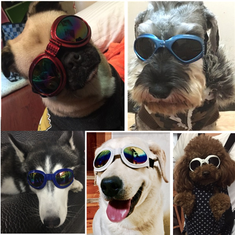 Special pricedog glasses Sunglasses Pet Sunglasses Sunglasses Anti-glasses Pet Accessories for Medium-sized Dog Dress