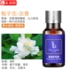 Gardenia (свежие и ароматные цветы)