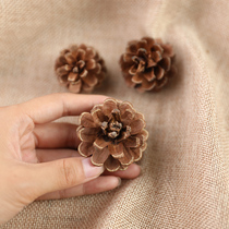 Natural pine nuts Pine Tower Deciduous Pine Christmas Decorations Net Red Live Pendulum photographed Props Photography Pendulum