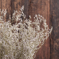 (Lover grass) natural dry flowers home decoration flower arrangement art dry flower hay lover grass Star