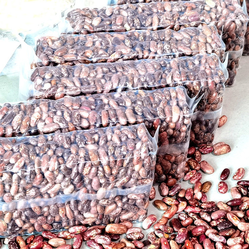 东北白芸豆：餐桌上的绿色宝藏