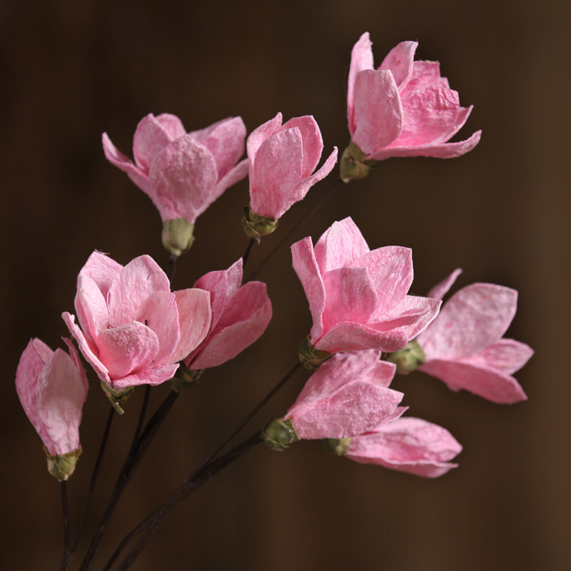 ŵ���������������滨yldz