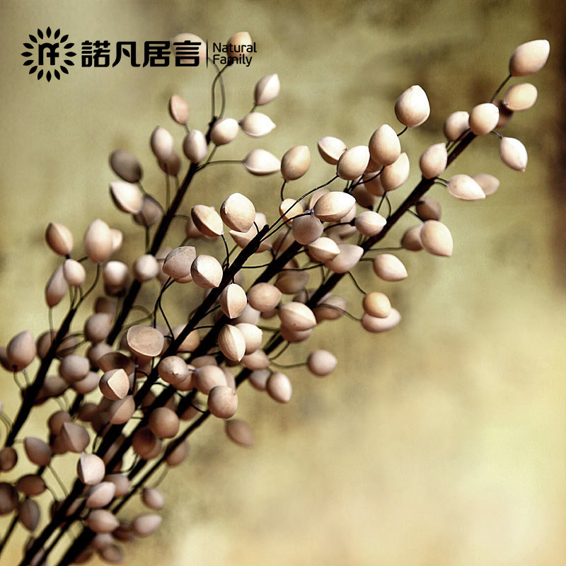 ŵ�����Դ�����ӣ��װ�μٻ�