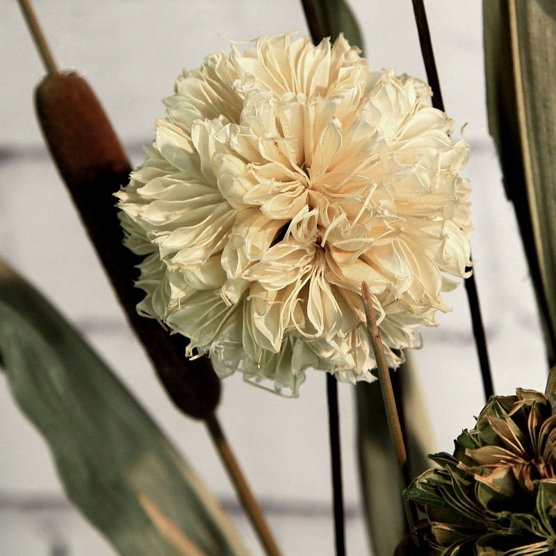 ŵ��������ʿ����װ�λ�