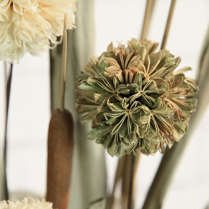 ŵ��������ʿ����װ�λ�