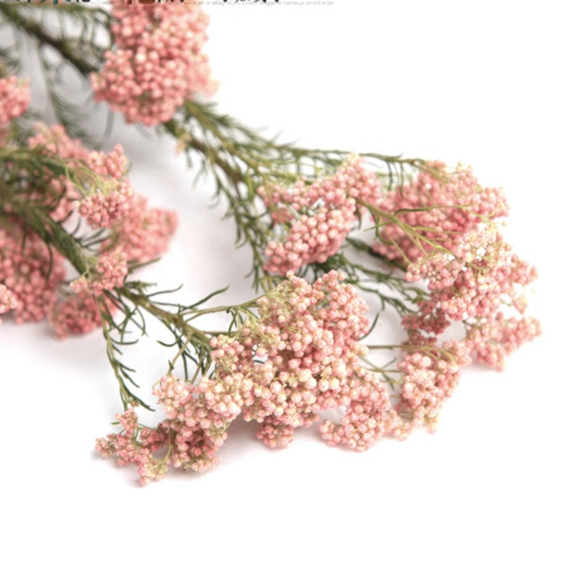 ŵ���ɻ������滨20170326