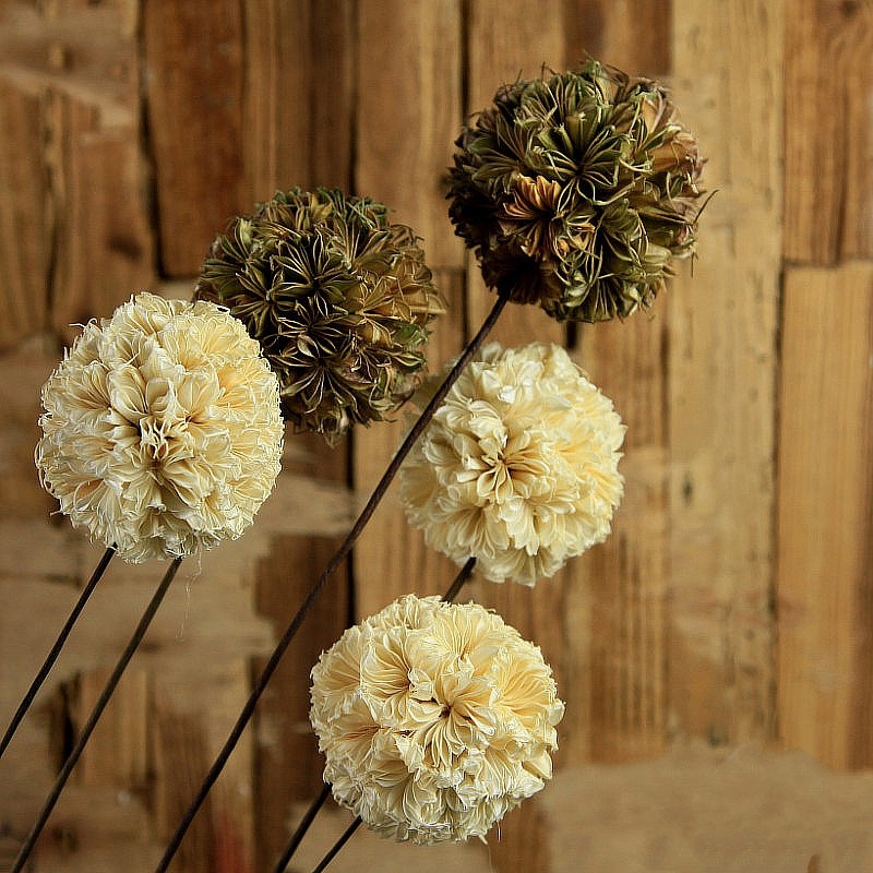 ŵ��������ʿ����װ�λ�