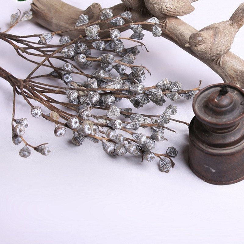 ŵ������֦����2017010601�廨��Ȼ����