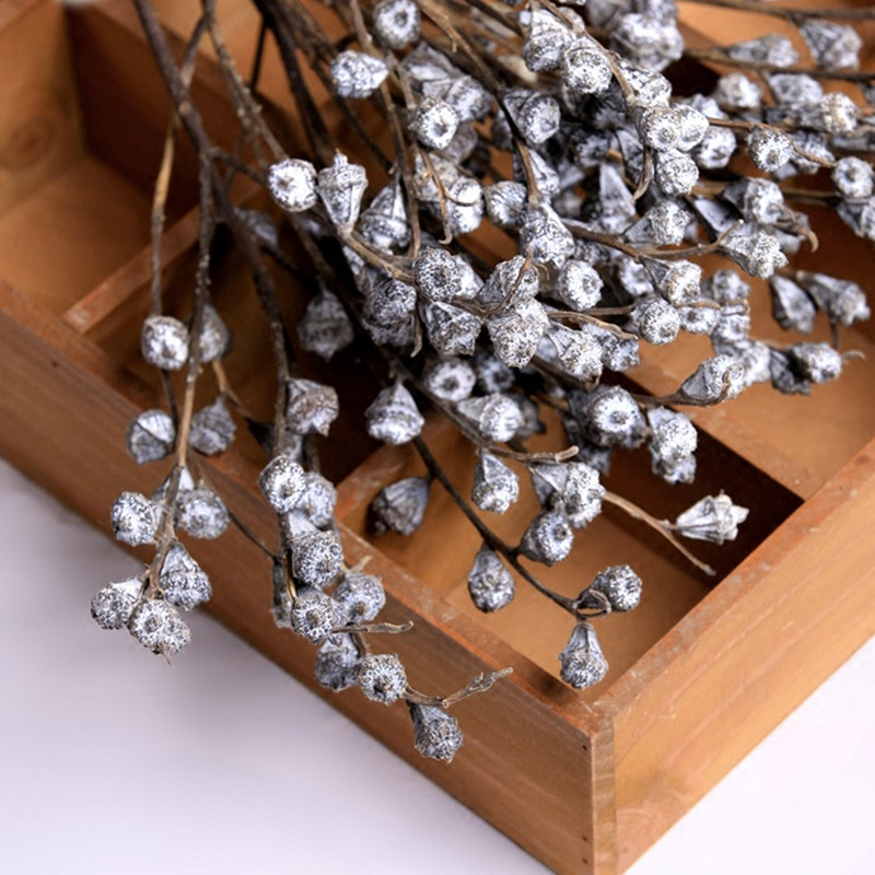 ŵ������֦����2017010601�廨��Ȼ����