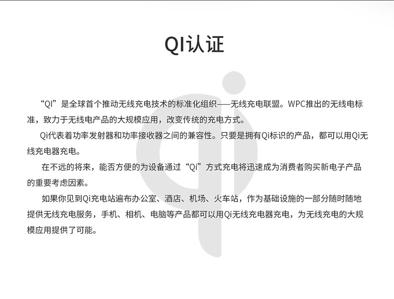 chargeur ROCK - Ref 1299147 Image 7