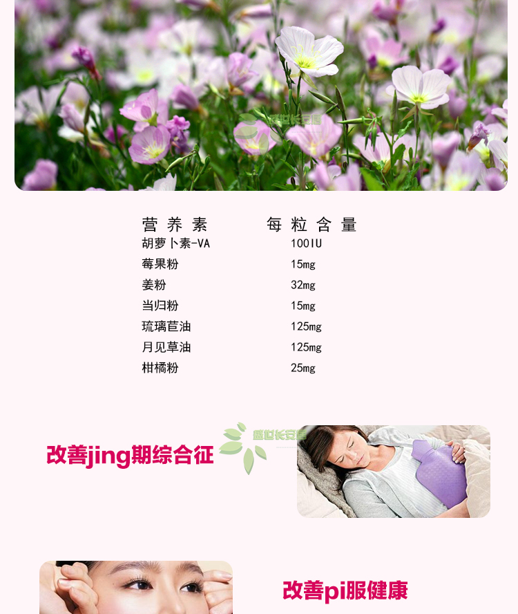 Amway NUTRILITE Buổi tối Primrose Angelica Bitters Viên bổ sung dinh dưỡng - Thực phẩm dinh dưỡng trong nước viên uống bổ sung canxi