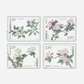 120-minute postage stamps begonia flower stamps