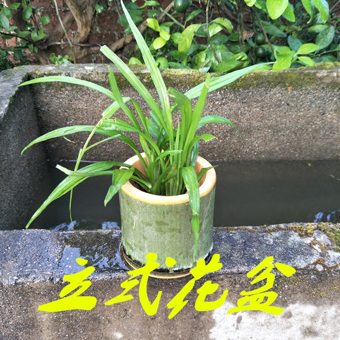 Usd 4 96 Handmade Bamboo Succulents Flower Pots Handmade Bamboo Succulents Flower Pots Creative Hanging Wall Vertical Combination Potted