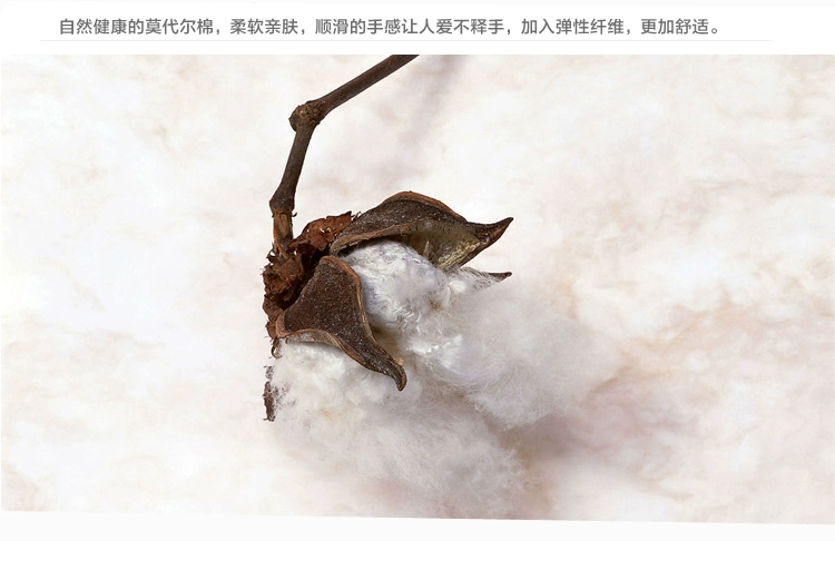 Cotton yếm nữ cotton ngắn phần mùa thu nhỏ chạm đáy áo mỏng bó sát bên ngoài màu đen và trắng